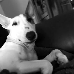 Meet your Posher, Malloy